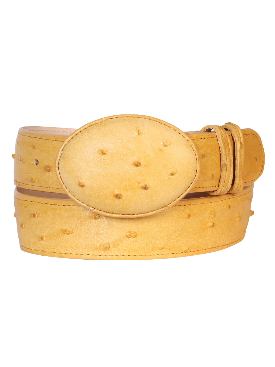 Cinturón vaquero para hombre - Imitación de avestruz - Color mantequilla 702